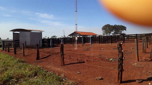 Imagem 8 de 10 de Fazenda Dupla Aptidão Município Quirinopolis