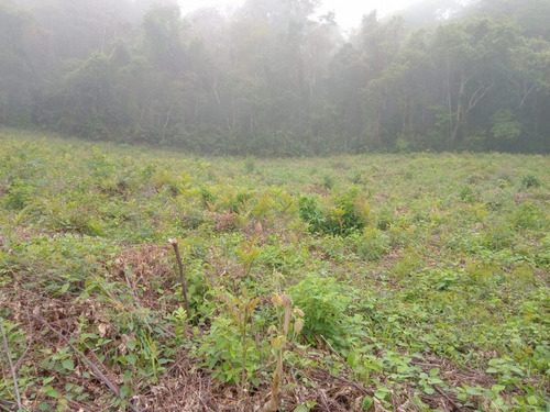 Imagem 11 de 14 de A01- Desconto De Terrenos 1.000m2 Plainos Prox A Represa !!!