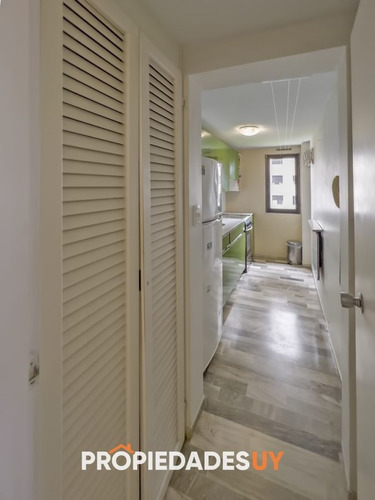 Imagen 6 de 22 de Apartamento De Dos Dormitorios Y Un Baño