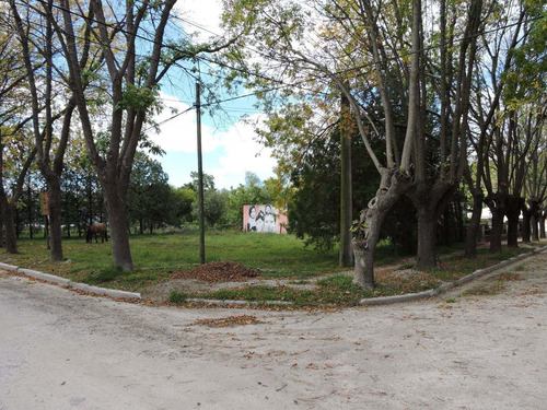 Imagen 2 de 7 de Lote En Pipinas