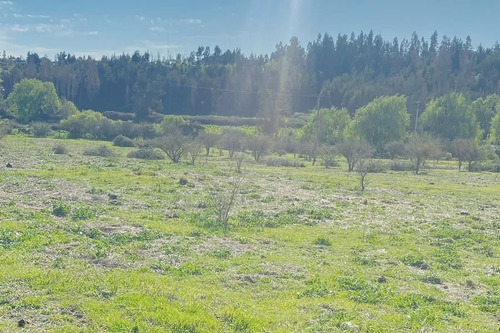 Parcelas Desde 5000 M², Rol Propio, A 12 Km De Melipilla