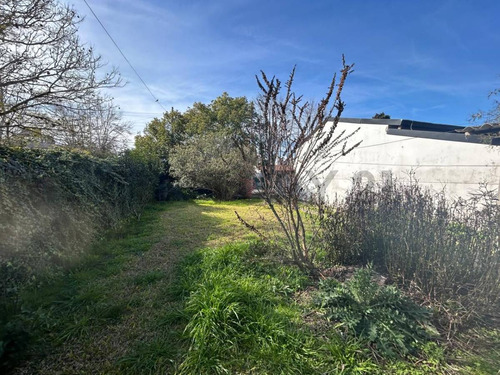 Venta De Casa A Reciclar En Gonnet