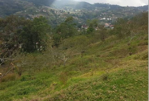 Imagen 6 de 8 de Se Vende Casa Con Terreno Colonia Tovar Las Balletas Ve01-1166ct-mpae