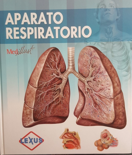 Aparato Respiratorio Med Illust