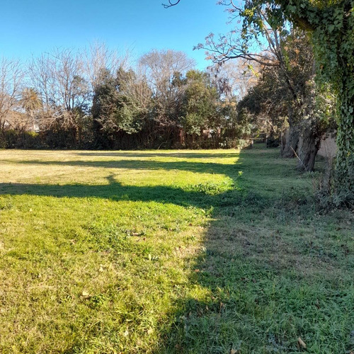 Imagen 8 de 13 de Terreno En Venta
