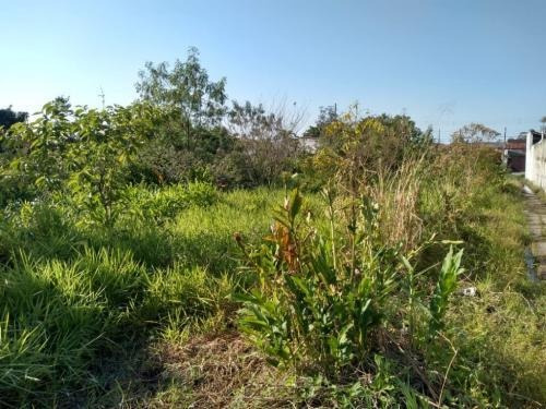 Imagem 3 de 7 de Terreno De 982 Metros No América | Itanhaém Litoral Sul Sp