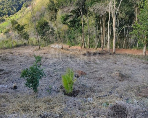 Imagem 5 de 6 de Sítio Escriturado 32.000 M2 No Bairro Piedade Caçapava São Paulo - Aceita Financiamento - St00023 - 70152329