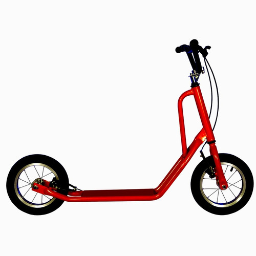 Monopatin Scooter Rin 12