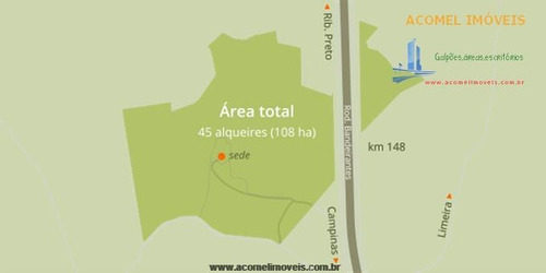 Imagem 7 de 26 de Fazendas À Venda Em Limeira/sp - Compre O Seu Fazendas Aqui! - 1344267