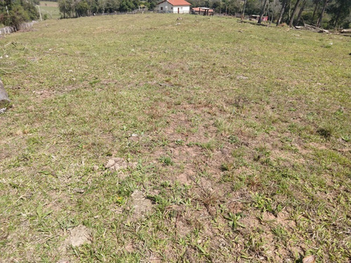 Chácara 20.000 M² - Lomba Grande - Novo Hamburgo - Rs - 2229 - 34453770