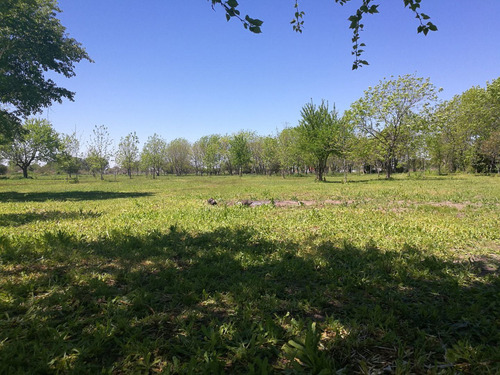 Imagen 4 de 6 de Finca Los Fresnos - Lote 632 M2- Baum Propiedades
