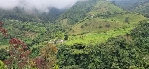Venta De Lote En Santa Bárbara Vereda Pitayó Lote No. 2a
