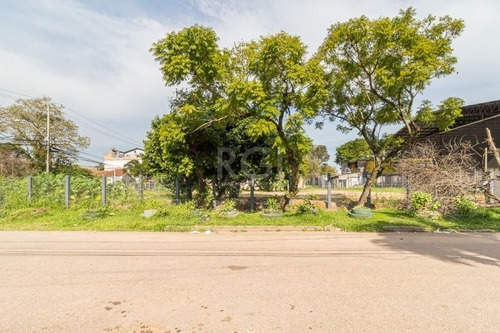 Terreno - Cavalhada - Ref: 561826 - L-ca4875