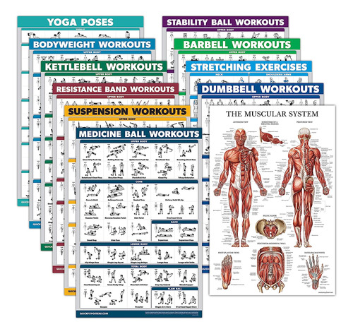 Palace Learning Paquete De 11 Pósteres De Ejerciciomancuerna