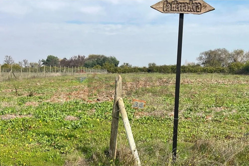 Se Vende Sitio 5000 M2 Loteo Haras De Huiquilemu