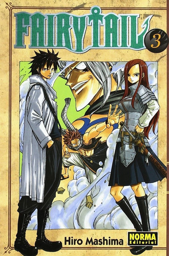 Fairy Tail No. 3: Fairy Tail No. 3, De Hiro Mashima. Serie Fairy Tail No. 3, Vol. 3. Editorial Norma Comics, Tapa Blanda, Edición 1 En Español, 2009