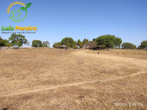 Imagem 9 de 15 de Fazenda À Venda No Vale Do Araguaia - To 532 Hec (dupla Aptidão) - 1912