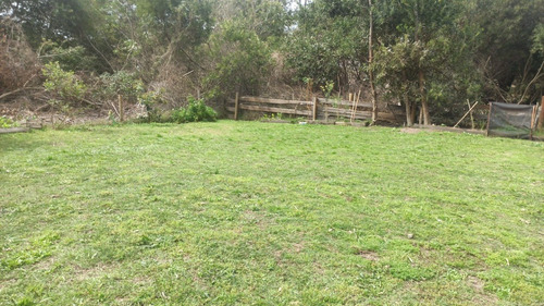 Imagen 10 de 11 de Casa La Serena 6 Personas Por Día/semana/quincena, Alta Y Baja Temporada