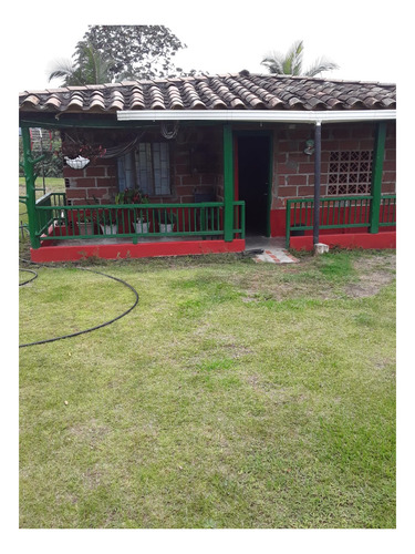 Imagen 7 de 8 de 8 Hectareas Para Aguacate En Abejorral