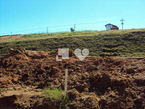 Imagem 3 de 12 de Terreno Em Condominio - Vila Nova - Ref: 43561 - V-58465733