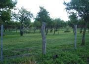 Imagen 3 de 3 de Lote En Venta En San Luis