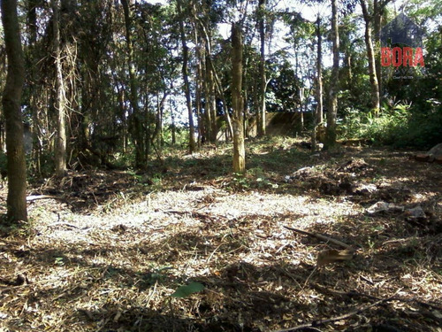 Imagem 2 de 5 de Terreno À Venda, 750 M² Por R$ 125.000 - Boa Vista - Mairiporã/sp - Te0221