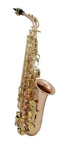 Saxofon Alto Roy Benson Bronce As-202g