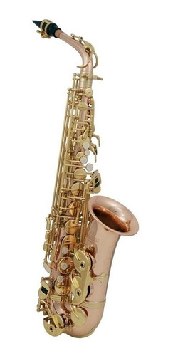 Saxofon Alto Roy Benson Bronce As-202g