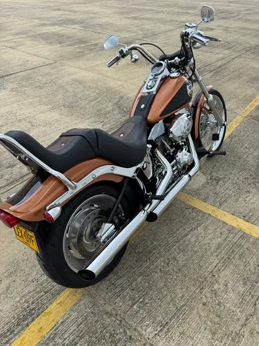 Softail Custom Edition Aniversario 105 2008