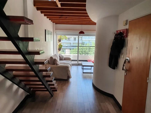 Imagen 3 de 24 de Departamento - Martin