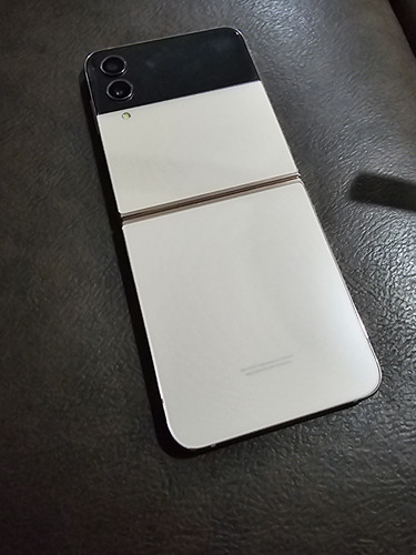 Celular Samsung Flip 4 De 256gb (Usado)