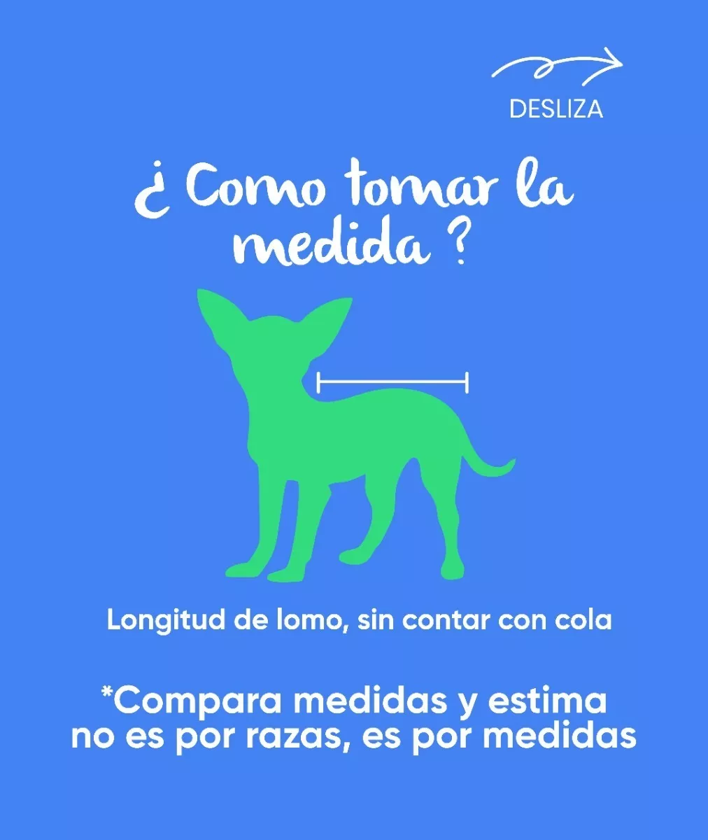 Primera imagen para búsqueda de ropa para perros