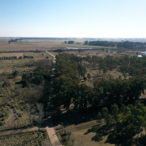 Imagen 12 de 21 de Terreno - Laguna De Lobos