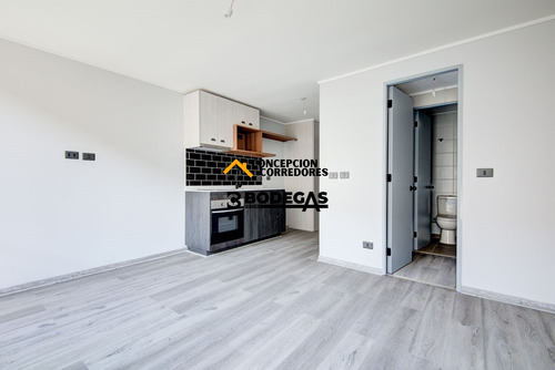 Departamento Estudio Santiago Sector Metro Ula