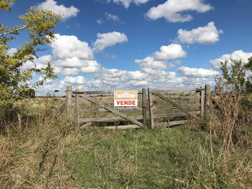 Campo De 6 Ha En Gomez De La Vega - Coronel Brandsen