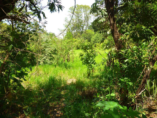 Imagem 3 de 18 de Terreno A Venda, Colinas De Indaiatuba Ii, Indaiatuba - Tr01631 - 4229513