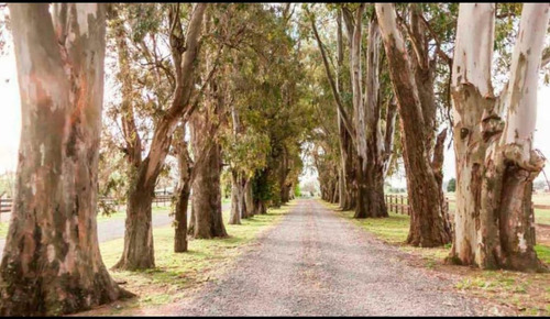 Oportunidad(retasado)venta Lote El Campo Cardales