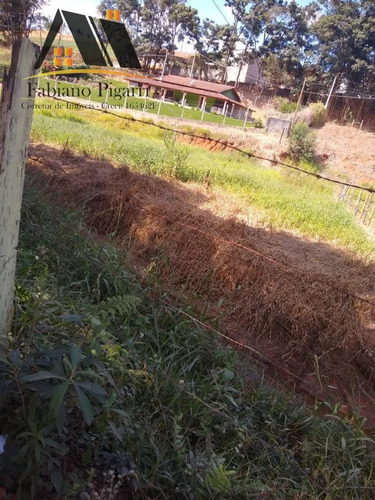 Imagem 2 de 15 de Chácara Para Venda Em Socorro, Centro, 3 Dormitórios, 1 Suíte, 2 Banheiros - 41_1-2378353