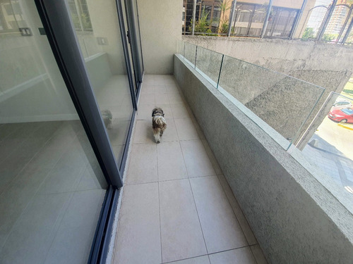 1 Dormitorio A Pasos Metro Plaza Egaña Y Mall Mayo 2025