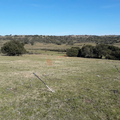 Imagen 21 de 29 de Maldonado Campo Con 150 Has Ganaderas En Aigua, 70 Kms De Punta, Serrano, Pintoresco, Con Instalaciones