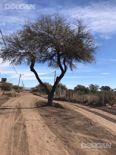 Imagen 6 de 8 de Terreno - Quintas Del Tomero