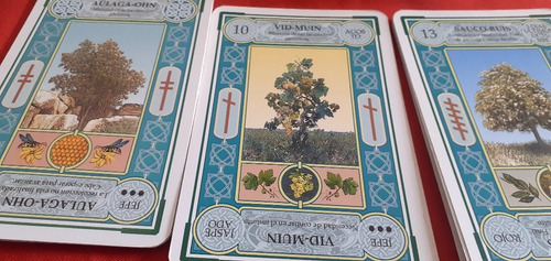 Tarot Cartas Lectura. Respuesta Por Videollamada 