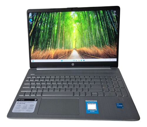 Laptop Hp 15-dy2131wm Core I3-11th 8ram 256ssd + 16gb Optane (Usado)