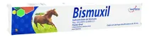 Comprar Bismuxil Pets Pasta Oral Inno Pharma Equinos 30 Ml