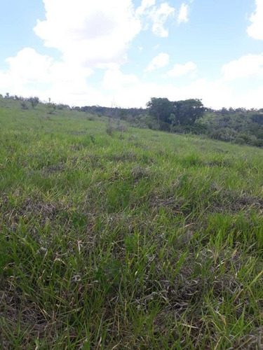 Imagem 16 de 27 de Sitio Campinas Antes Do Pedagio De Jaquariuna 46 Hectares - 42655