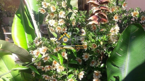 Imagem 20 de 22 de Casa - Ca02376 - 70575066