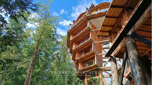 Lindo Terreno En Reserva Biológica Huilo Huilo
