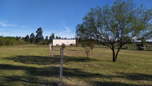 Terreno En Federación (entre Ríos)