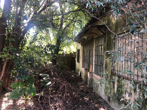 Imagen 3 de 16 de Terreno En Venta En San Miguel