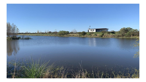 Imagen 14 de 27 de Casa Conteiner A Estrenar De 3 Ambientes Sobre Lote De 3.110 M2 Con 69 Mts De Costa Al Lago